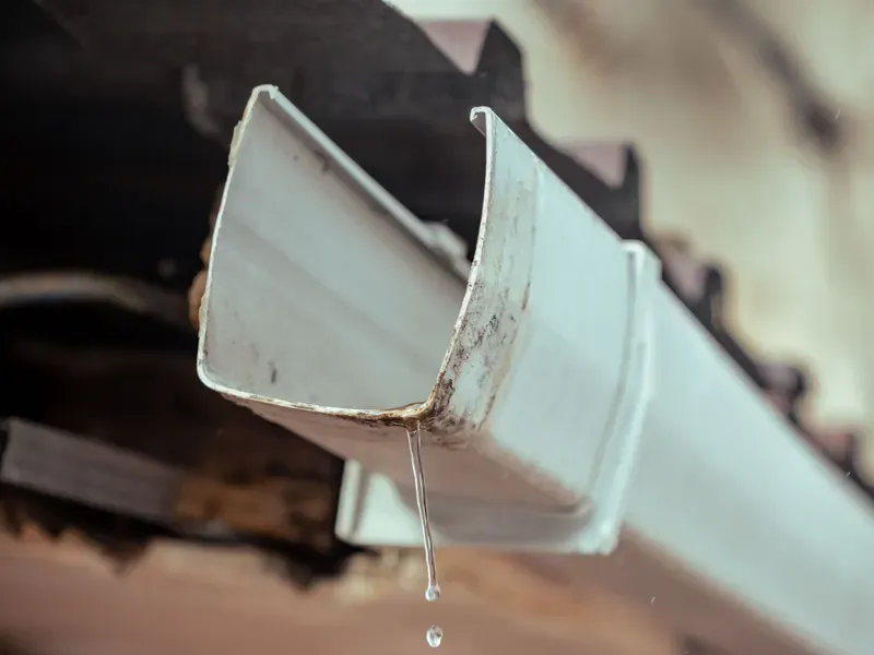 Close-up of rainwater in a house gutter